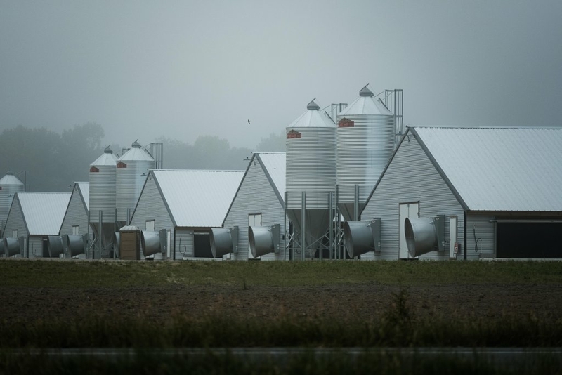 Virginia starts requiring poultry litter producers and brokers to report sales Virginia starts requiring poultry litter producers and brokers to report sales
