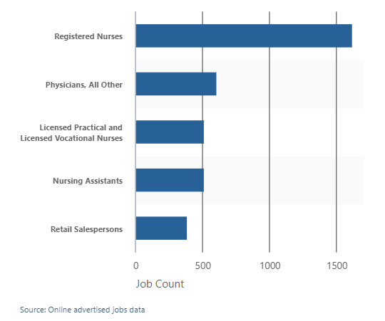 Avera receives $2.5 million in federal money for rural nurse shortage Chart shows the most in-demand jobs in South Dakota are for registered nurses, physicians, nursing assistants and licensed practical and licensed vocational nurses. (SD Department of Labor)