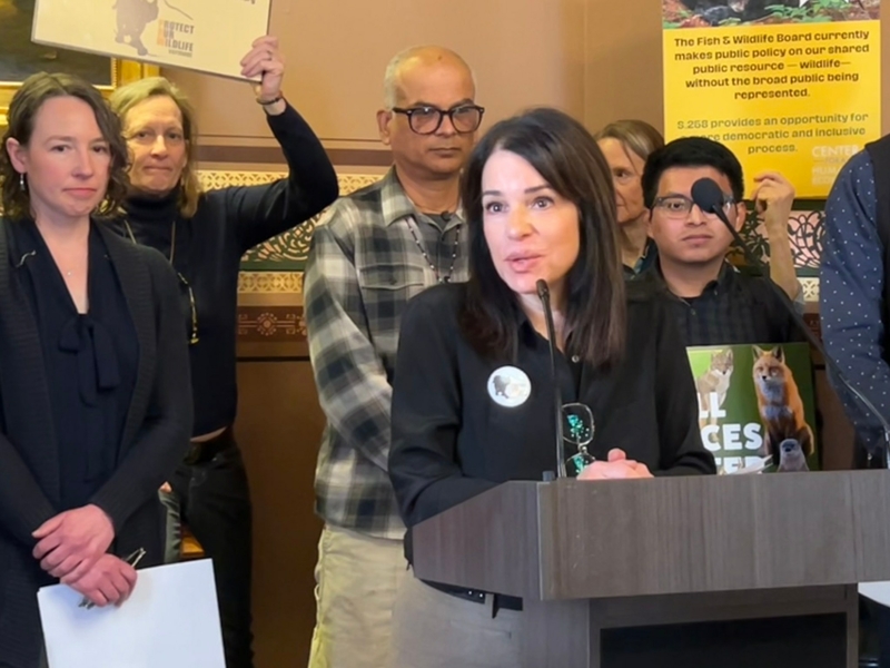 Wild divide: A debate over wildlife management in Vermont runs deep Woman speaking at a podium during a public event, with several attentive people standing behind her in a room with posters.