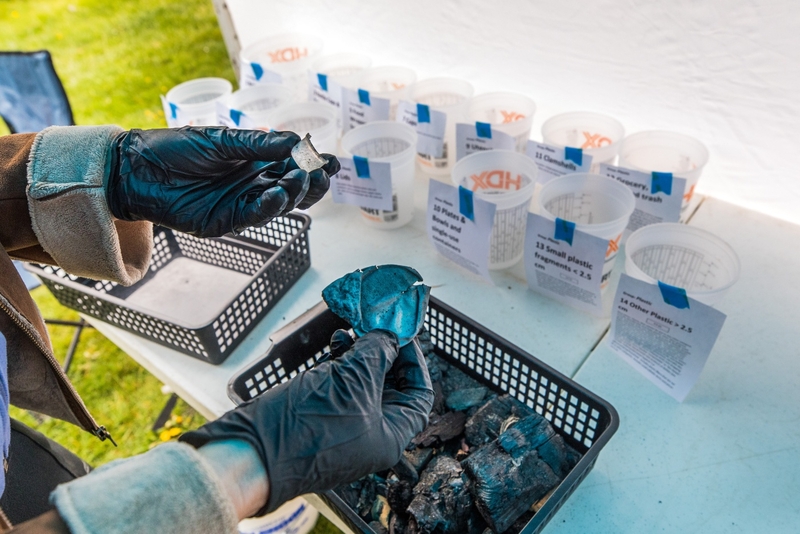 Northwest scientists study source of pervasive plastic pollution Northwest scientists study source of pervasive plastic pollution