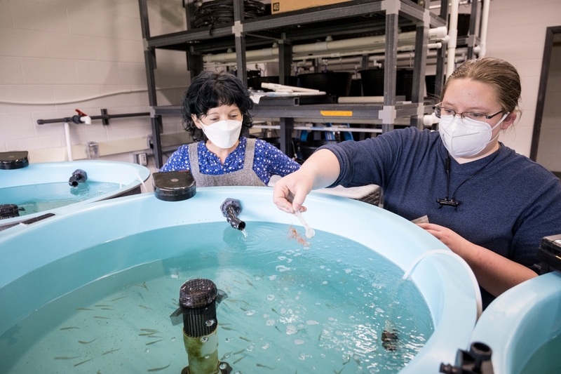 Northwest scientists study source of pervasive plastic pollution Northwest scientists study source of pervasive plastic pollution