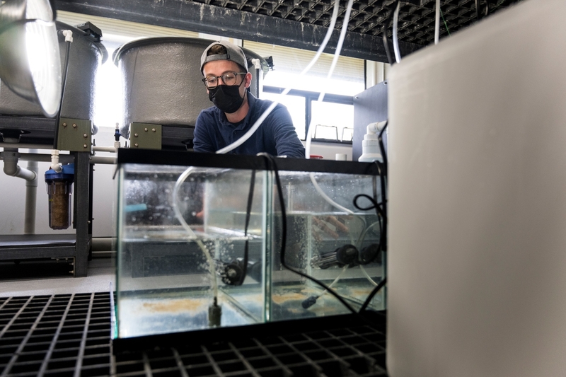 Northwest scientists study source of pervasive plastic pollution Northwest scientists study source of pervasive plastic pollution