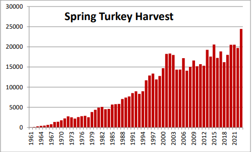 Virginia bags biggest spring turkey harvest ever Virginia bags biggest spring turkey harvest ever