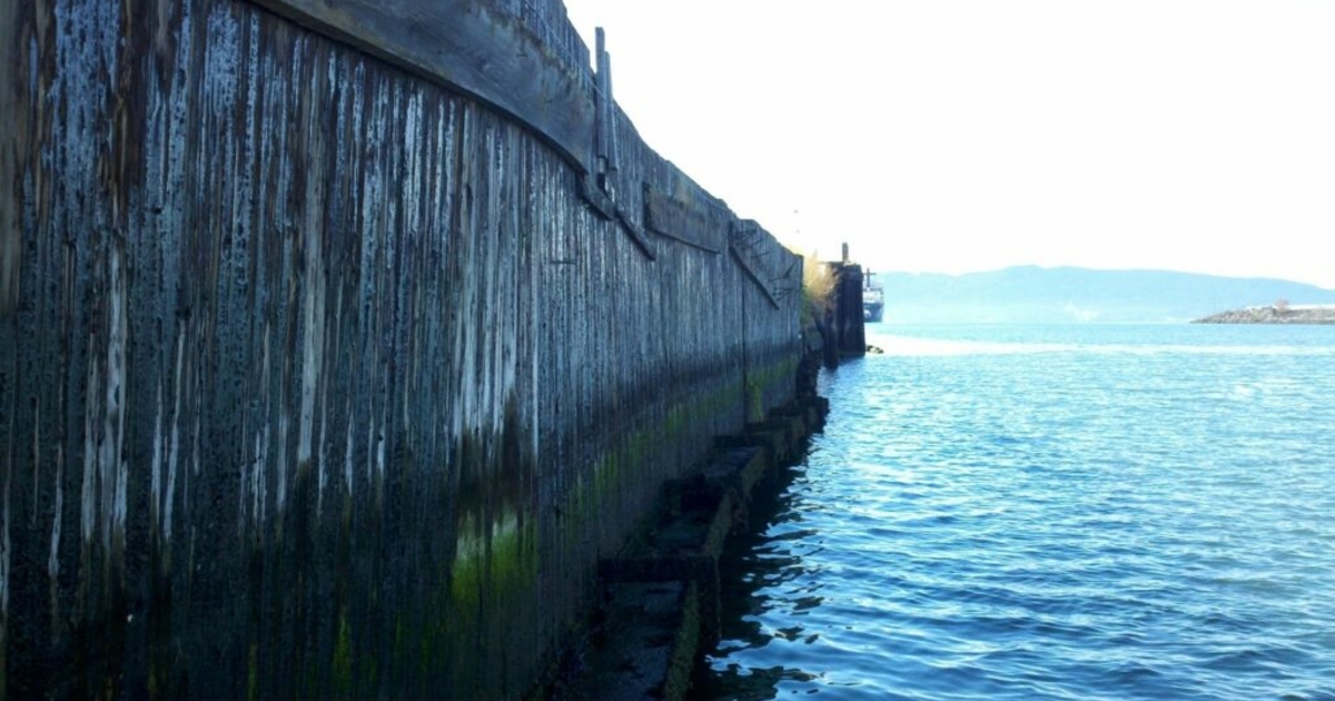 Oil spill fines aid restoration projects in Washington News From The