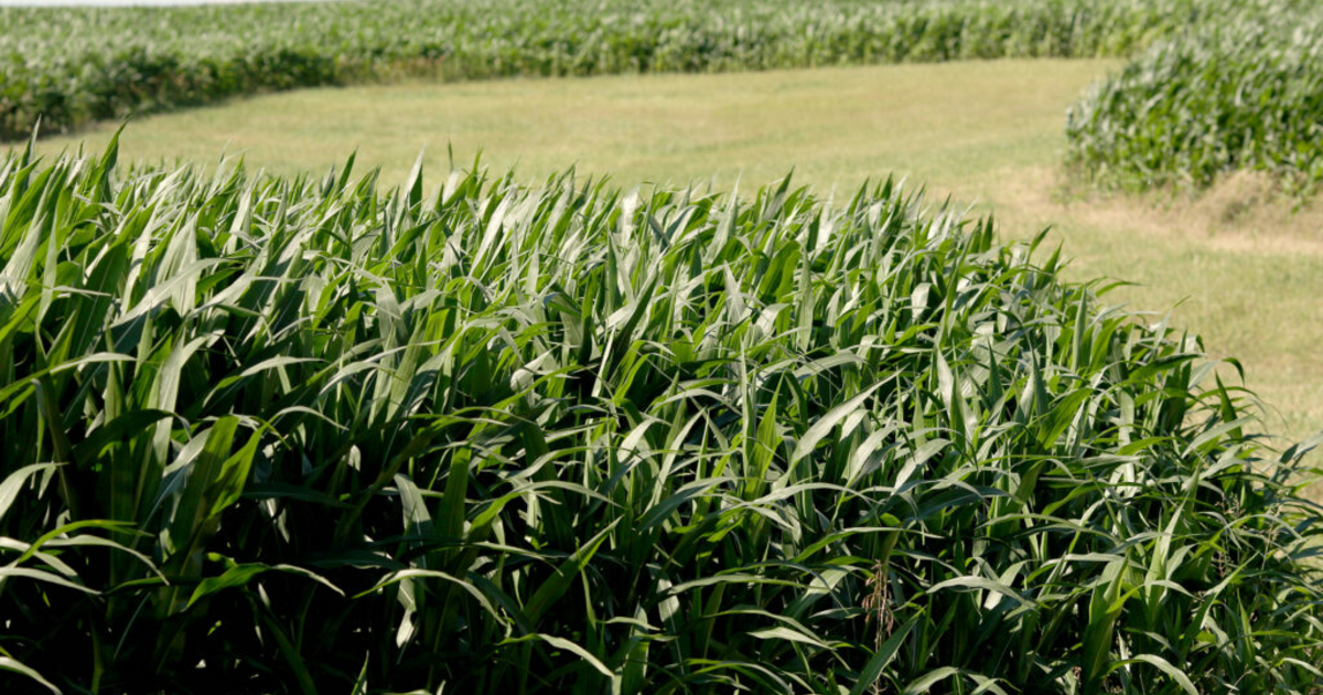 Riding the tiltawhirl of ag land values News From The States