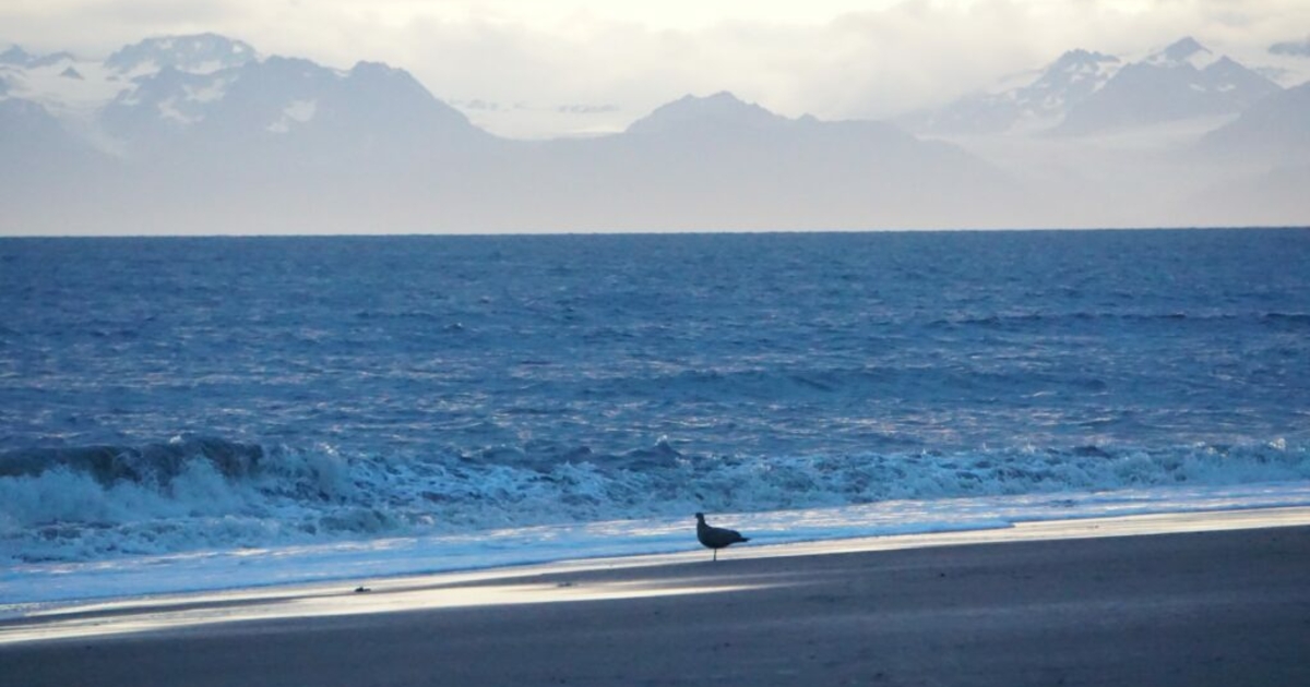 Alaska offering royaltyfree lease terms to try to stimulate new Cook