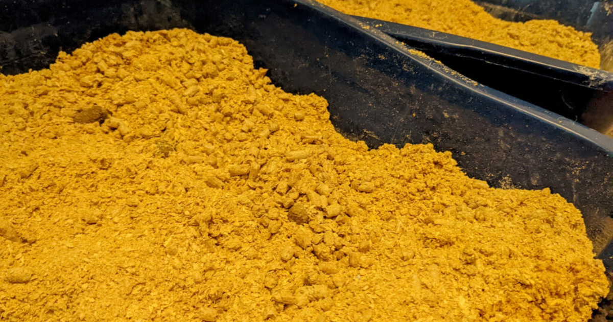 Carroll superintendent No litter boxes in schools News From The States