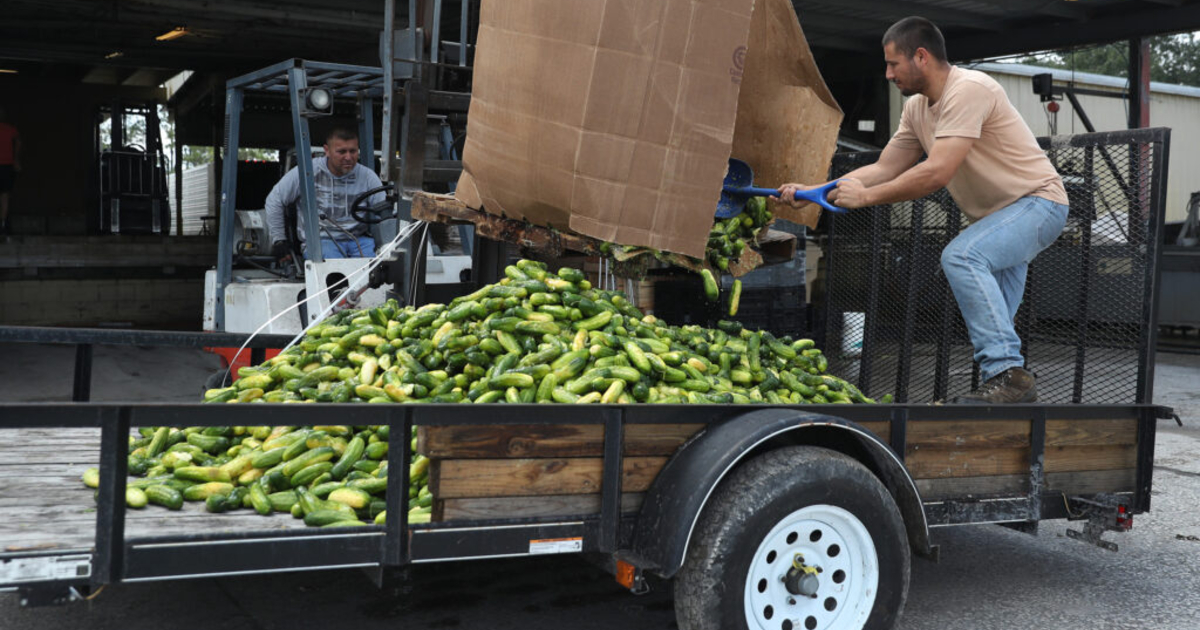 Ban going into effect next year aims to cut food waste, greenhouse gas