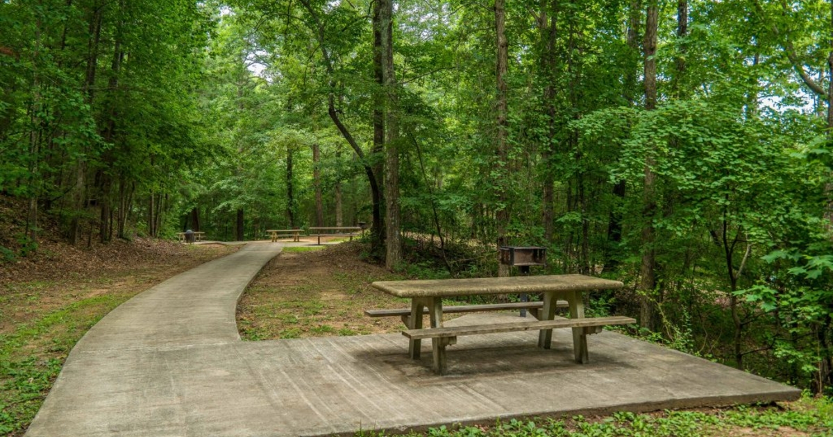 DCNR grant funding opens for 2023 conservation projects Five for the