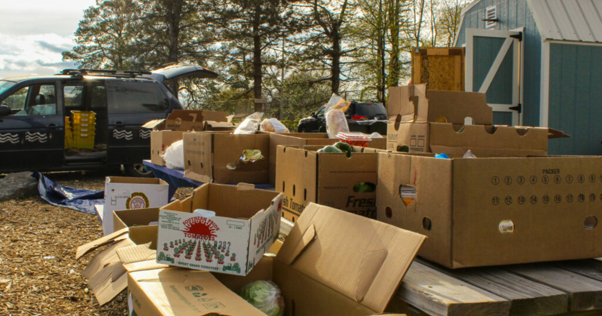 Virginia suspends COVID19 emergency allotment SNAP benefits News